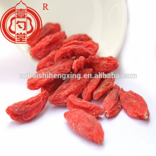 China zertifizierte organische trockene Goji-Beere Goji Frucht mit hoher Qualität